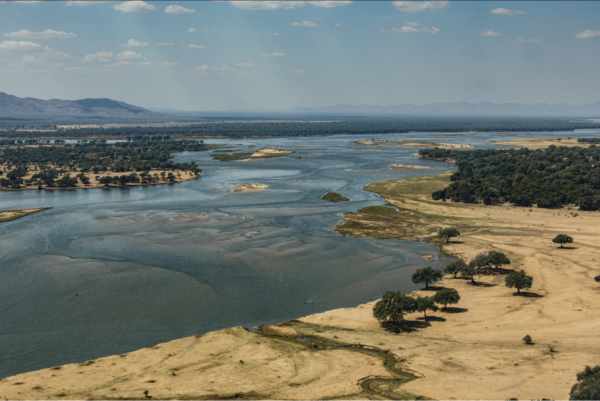 Mana Pools - Vegetation